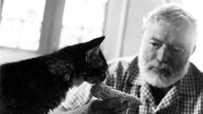 Las grandes pasiones: Ernest Miller Hemingway (1) @eliadesacosta1 Las grandes pasiones: Ernest Miller Hemingway (1) @eliadesacosta1