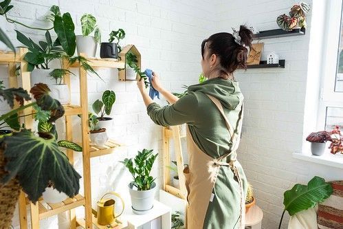 Plantas peligrosas: cuáles es mejor evitar en casas, terrazas y jardines comunitarios