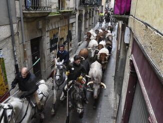 Un carnaval singular en el que el toro se impone a los disfraces